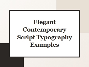 Elegant Contemporary Script Typography Examples